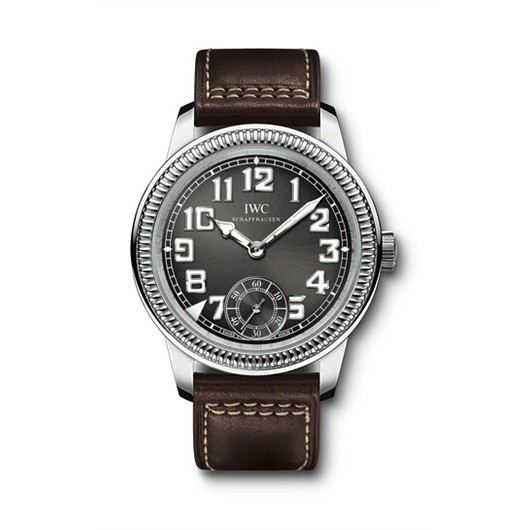 IWC Vintage Collection IW3254-04